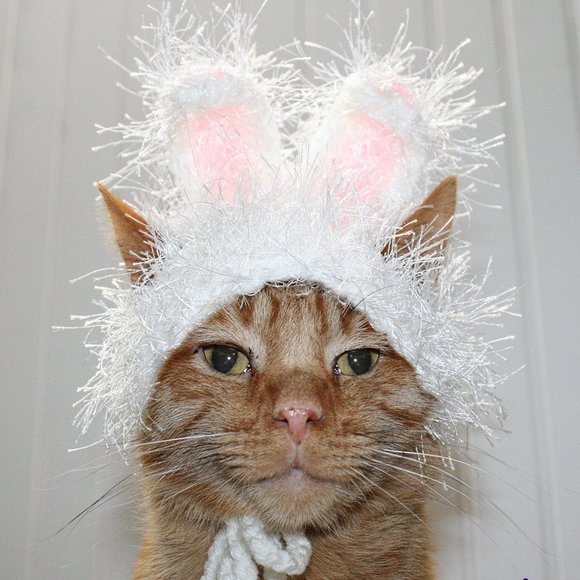 Hand Crafted Other - HAND CRAFTED Easter Bunny Ears Cat Hat Crochet Hairy Wig Costume Photo Prop